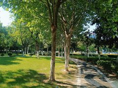 -天鹅湖体育公园