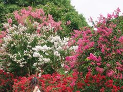 -杭州城北体育公园