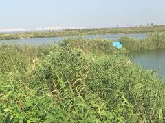 -苏州吴中太湖旅游区