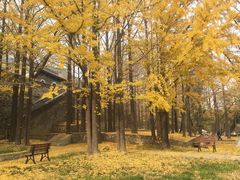 -阳台山自然风景区