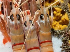 -吉兆·料理(红梅南路店)