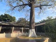 -南海神庙