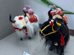 -青藏高原野生动物园
