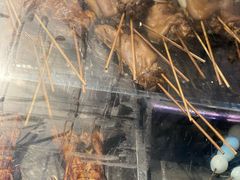 -为民烧烤吧.自贡爆炒菜(收录20年好店)