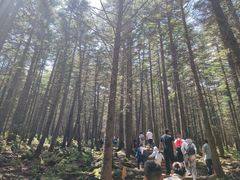 -芦芽山旅游度假区