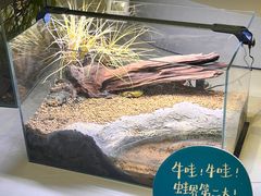 -中国湿地博物馆