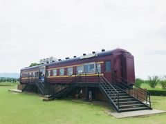 -西京湾花海