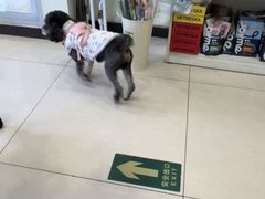 -悦宠凯宝动物医院·牙科·皮肤科(朝阳北路店)