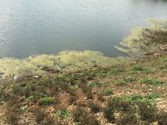 -白鹭湾湿地公园