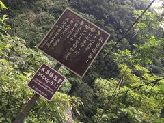 -太鲁阁公园