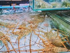 -班赞海鲜市场胖阿姨加工点