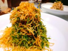 巧拌豆苗-四季民福烤鸭店(王府井灯市口店)
