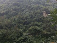 -沣峪森林公园龙潭戏水景区