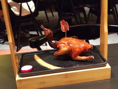 -羽鸽集·乳鸽专门店·地道顺德菜(岭南站店)
