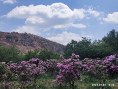 -名花谷生态庄园