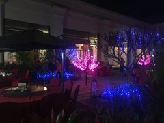 -西双版纳融创皇冠假日度假酒店