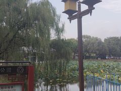 -北陵公园