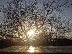 iphone_upload_pic-EATALIA意塔利意式餐厅(鼓楼店)