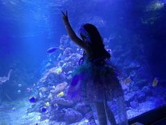 -江和美海洋公园