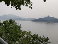 -望湖烤鱼