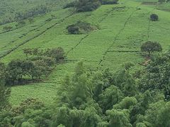 -天目湖御水温泉·度假酒店