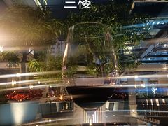 -东海朗廷酒店·廷廊 Palm Court