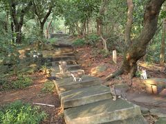 -广州市白云山风景名胜区