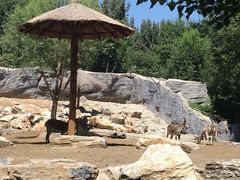 -北京野生动物园