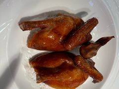 红烧乳鸽-陶陶居·雅园(凯华国际店)