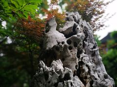 -苏城小院·园林精致苏州菜(斜塘老街店)
