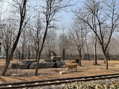 -秦皇岛野生动物园