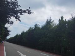 -微山湖红荷湿地景区