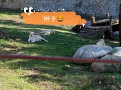 -泉州海丝野生动物世界