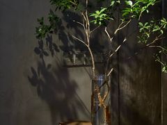 -曲廊院(东四十一条店)