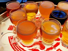 -Boxing Cat Brewery拳击猫精酿啤酒馆(思南公馆店)