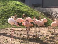 -沈阳森林动物园