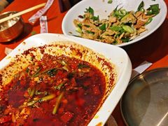 -柴窝堡22号辣子鸡·传承新疆菜