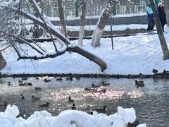 -水磨沟公园