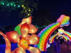 -广西壮族自治区药用植物园