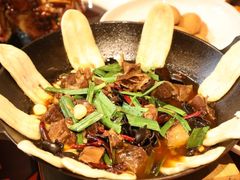 -福照楼汽锅鸡·云南菜(护国路店)