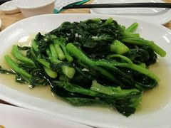 蒜蓉炒菜心-巫记鸡饭店