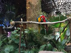 -杭州开元森泊度假乐园