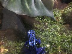 -暹罗海洋世界