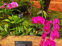 -国家植物园南园