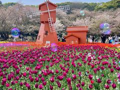 -苏州上方山国家森林公园