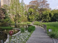 -成都市活水公园