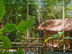 -海南槟榔谷黎苗文化旅游区