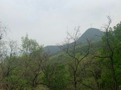 -阳台山自然风景区