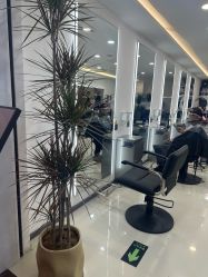 -HaLo hair studio