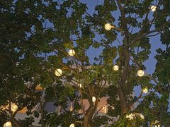 -深圳湾万象城(南山店)